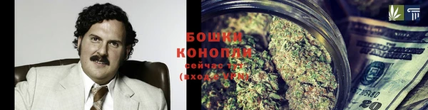 PSILOCYBIN Бородино