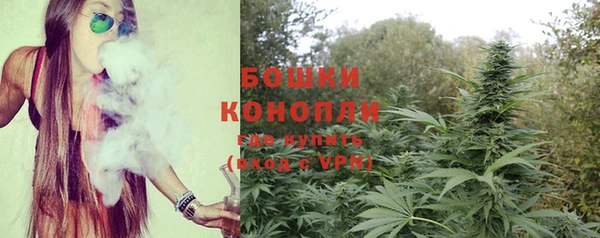PSILOCYBIN Бородино
