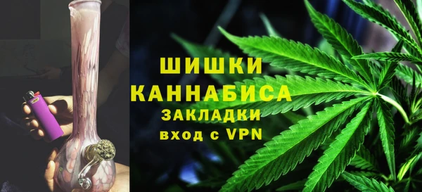 PSILOCYBIN Бородино