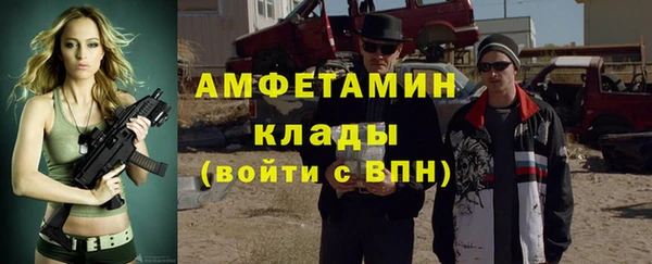PSILOCYBIN Бородино